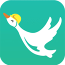 鸿雁安家下载网页版官网登录