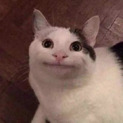 喵喵播放器在线观看高清推荐