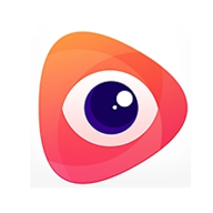 大眼视频pc网页版