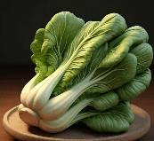 老谭酸菜2024旧版安装包