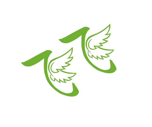 飞飞TV2025版下载安装