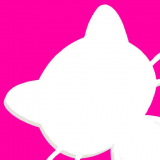 猫咪小视频观看